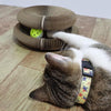 Cat Scratch Board Butler Toy