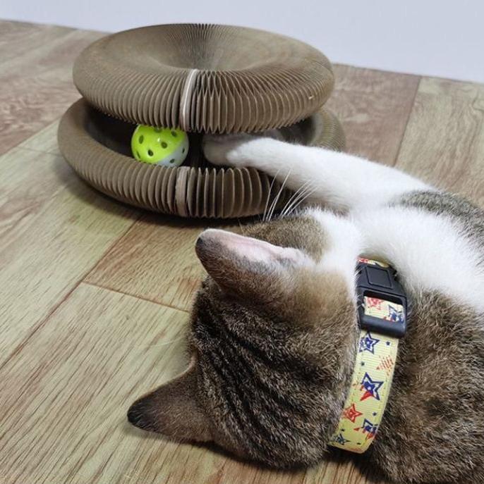 Cat Scratch Board Butler Toy